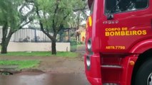 Árvore cai no Bairro Brasmadeira e deixa estragos no telhado de residência