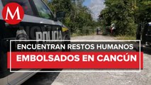 Dos cuerpos descuartizados fueron encontrados en Cancún
