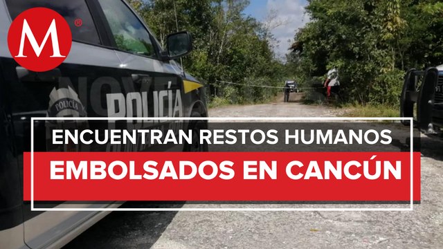 Dos cuerpos descuartizados fueron encontrados en Cancún