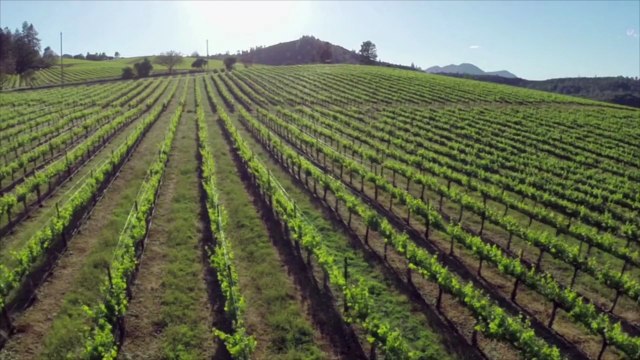 This Iconic California Wine Country Train Is Adding a Luxe High Tea Experience