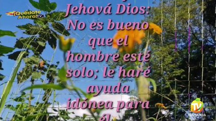 QUEDATE AHORA TV (34)