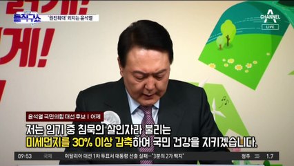 프로필 직접 띄운 ‘전시기획자’ 김건희