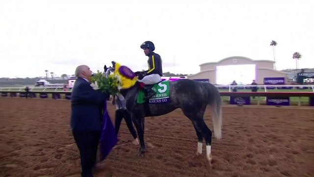 한국마사회 소속 '닉스고' 세계 최고 경주마 '론진 어워드' 수상 / YTN