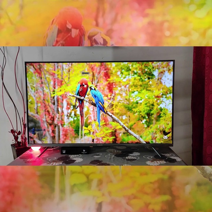 MI TV 5X - Highlights