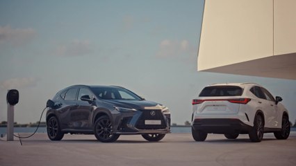 All-new Lexus NX - Safety Cutdown