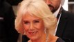 Duchess Camilla voices support for women affected by domestic abuse