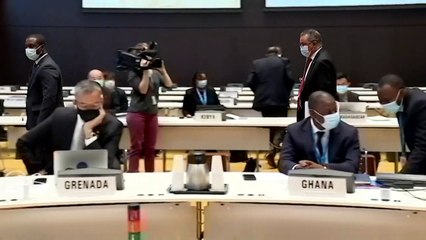 ВОЗ директоров в пандемию не меняет