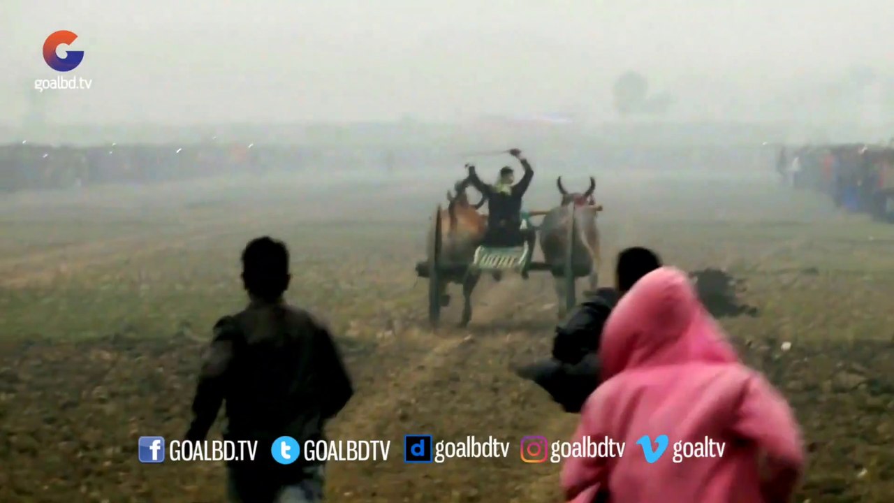 Bullock Cart Race | Jhenaidah | গ্রাম বাংলার ঐহিত্যবাহী গরুর গাড়ির দৌড় প্রতিযোগিতা