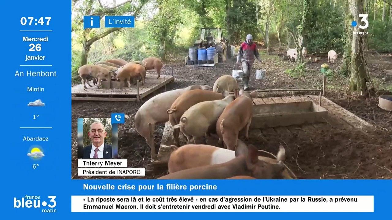 Les éleveurs de porcs demandent des aides directes au gouvernement