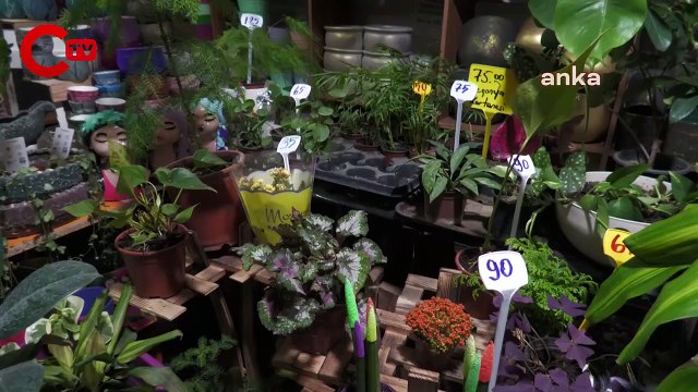 Kriz onları da vurdu... İzmirli çiçekçi: 3-4 aydır düzgün siftah yapamıyorum