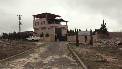 "Gazella gazella" ceylanı sayısında artış