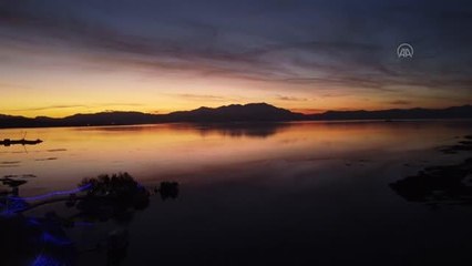 Son dakika haberi... Beyşehir Gölü'nden 10 ton hayalet ağ çıkarıldı