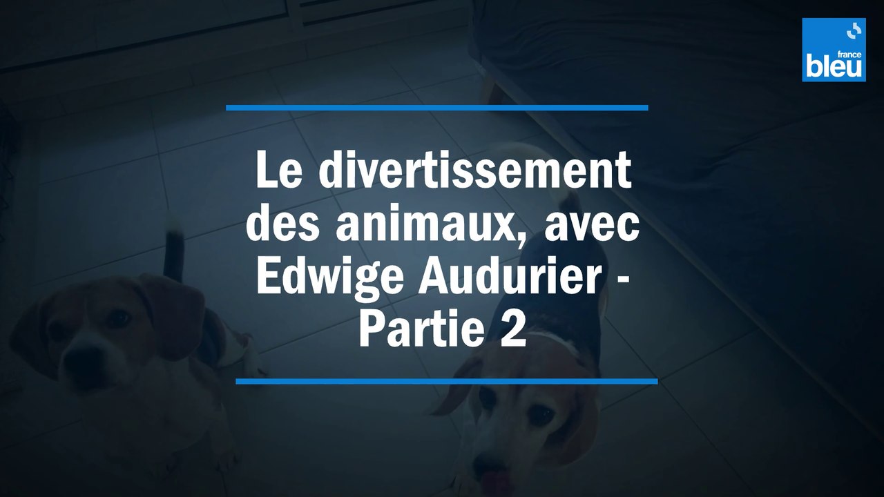 Divertissement des animaux (partie 2/2) - Avec Edwige Audurier