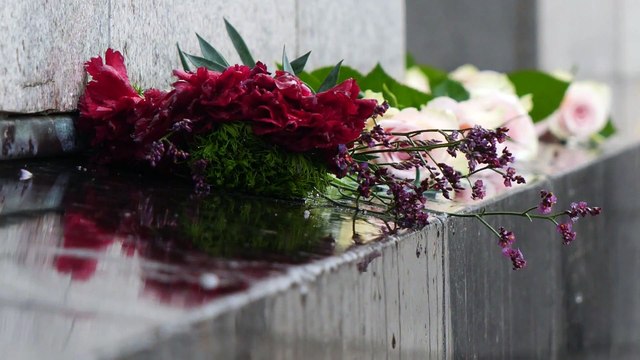 Crisi Ucraina: la Germania membro della Nato e ponte verso Mosca