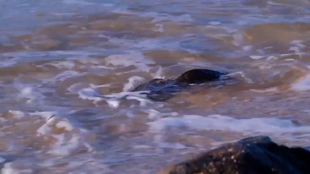 #relaxingmusic #relax #soothingrelaxation Inner Peace Relaxing Sleep Music • Deep Sleeping Music, Relaxing Music, Stress Relief, Meditation