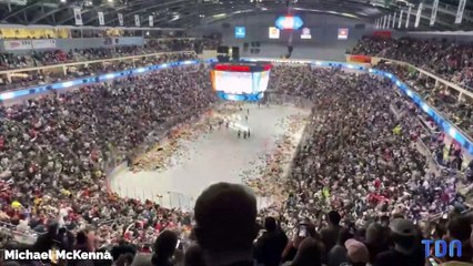 Le record de lancer de peluches battu en plein milieu d'un match
