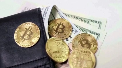 美증시, 극심한 변동성...비트코인 반토막 / YTN