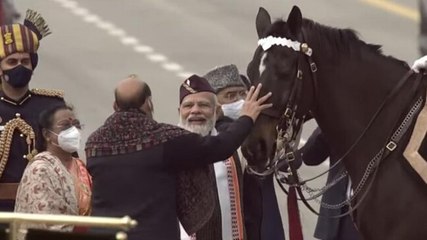 Republic Day 2022: Virat, elite horse of President's Bodyguard, retires