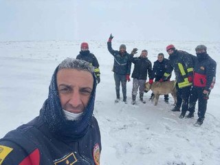 Kurtları kovalarken 15 metrelik kuyuya düşen çoban köpeği kurtarıldı