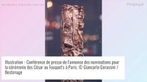 César 2022, les nominations : Valérie Lemercier bien placée avec Aline, Illusions Perdues mène la danse