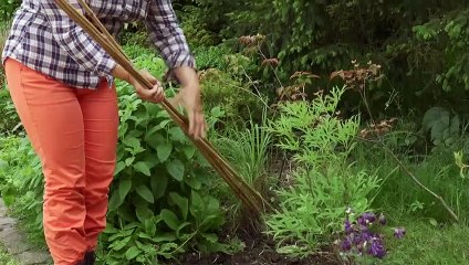 DIY Jardin - Fabriquer un tipi pour plantes grimpantes