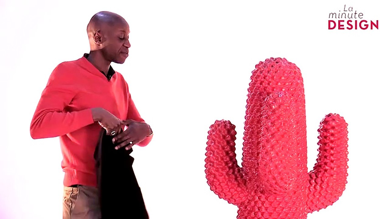 « Le Cactus » de Drocco & Melo