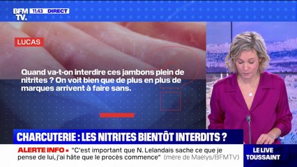 Les nitrite seront-t-ils bientôt interdit dans la charcuterie?  BFMTV répond à vos questions