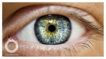 Retina Mata Ungkap Usia Biologis dan Prediksi Risiko Kematian Dini