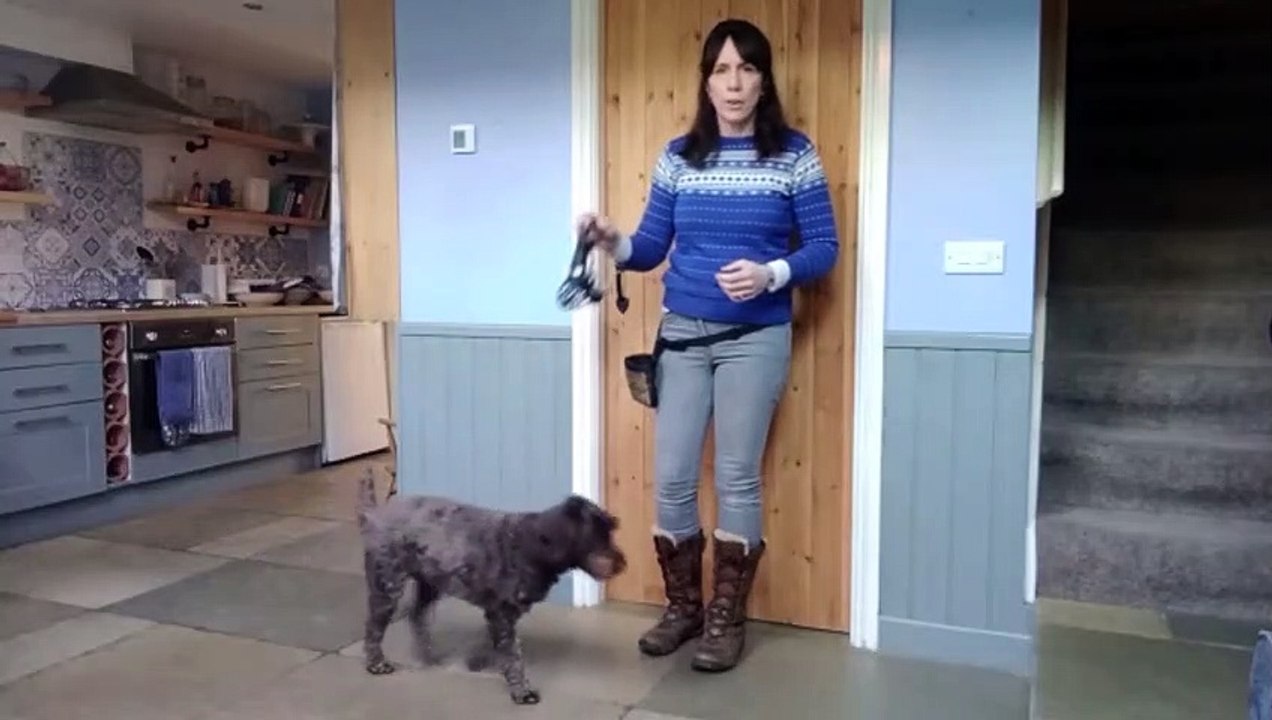 HOW TO FIT A MUZZLE