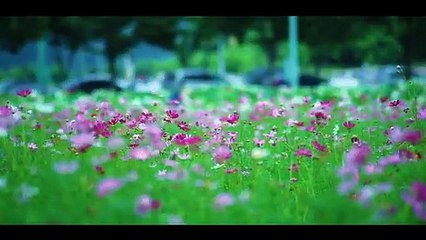 Tumi Roj Bikele By Kumar Biswajit#Tune_Bangla