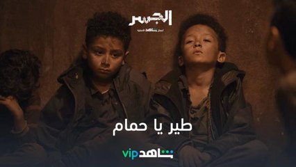 طير يا حمام فوق في السما l الجسر  l شاهد VIP