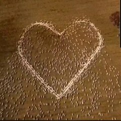 Sheep farmer Ben Jackson's tribute to his aunt