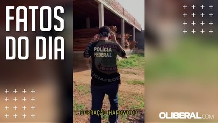 PF deflagra operação de combate ao desmatamento ilegal no Pará