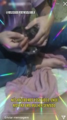 Polícia Civil investiga suspeitos de obrigarem gato a fumar maconha