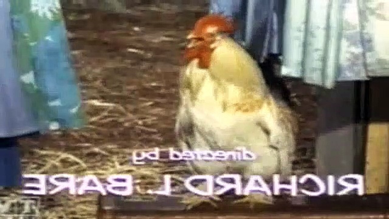 Green Acres S05E01 Where There'S A Will