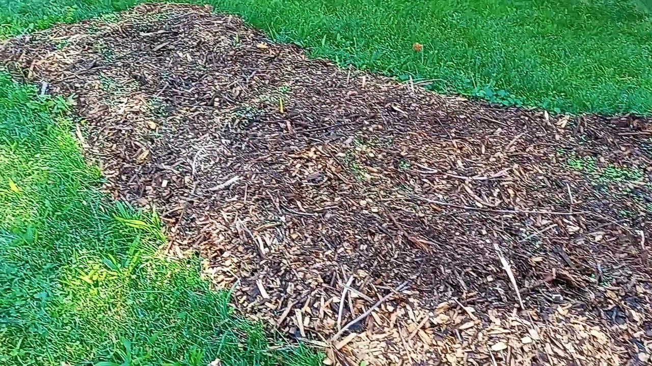 Finishing Sheet Mulching a Pathway Edge for Mowing