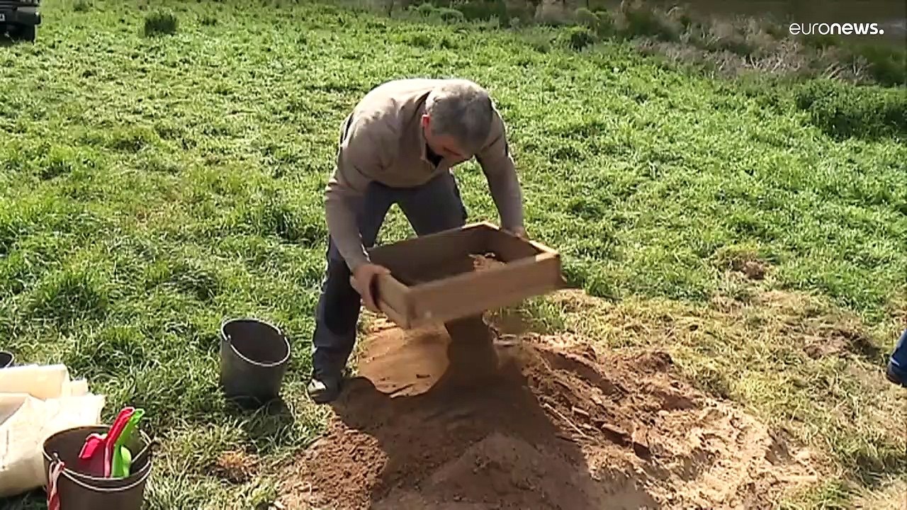 Hirsch in Fels geritzt: Altertumsforschung ist begeistert