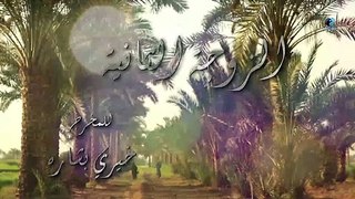 مسلسل الزوجه الثانية _ الحلقة _5_ بطولة عمرو عبد الجليل و أيتن عامر