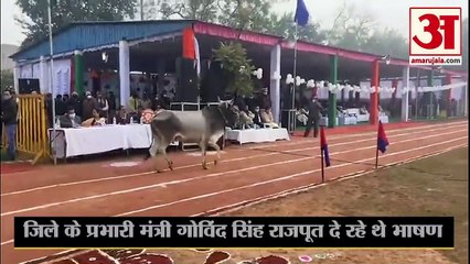 Minister Govind Singh Rajput Giving Speech at Parade Ground | मैदान में दो सांडों ने मचाया उत्पात