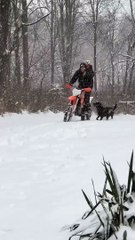 Pulling Out Dirt Bike in Winter Excites Dogs