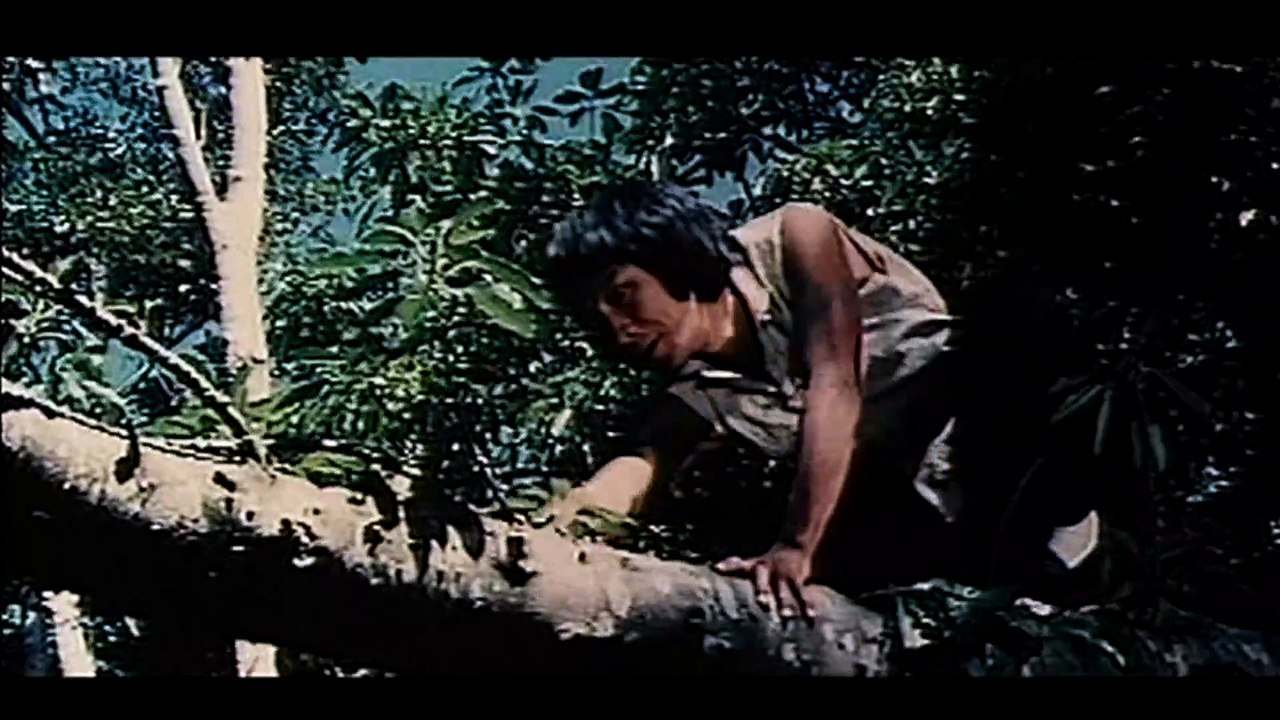 Ninja contre Cobra d'or - Film complet en français