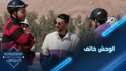 الوحش خائف من الخيل!!!