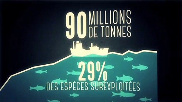 Data Gueule Saison 3 - Quand la surpêche, les poissons coulent (EN)
