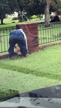 Man Rescues Fawn Stuck in Fence