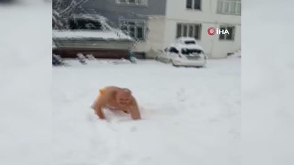 Denizde değil, karda yüzdü