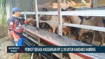 Pemkot Bekasi Anggarkan Rp 2,3 Miliar untuk Bangun Kandang Kambing di 11 Kecamatan, Masuk Akal?