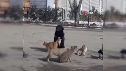 Ankara'da yürek ısıtan görüntüler