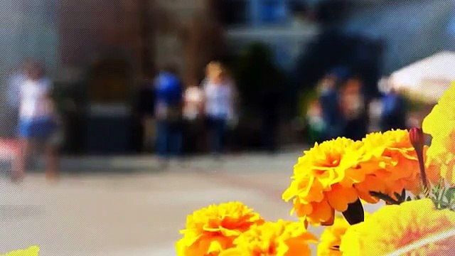 ROQUEBRUNE CAP MARTIN - Charmante maison rénovée au Vieux Vi
