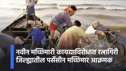 Ratnagiri l नवीन मच्छिमारी कायद्याविरोधात रत्नागिरी जिल्ह्यातील पर्सेसीन मच्छिमार आक्रमक l  Sakal Media