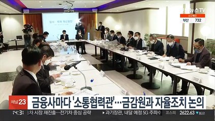 금융사마다 '소통협력관'…금감원과 자율조치 논의